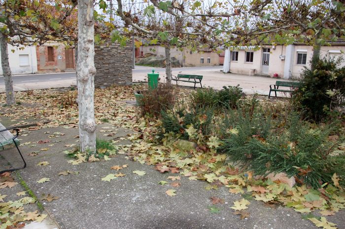 Riofrio 11.jpg